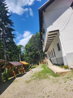 Cabana Valea Bradului